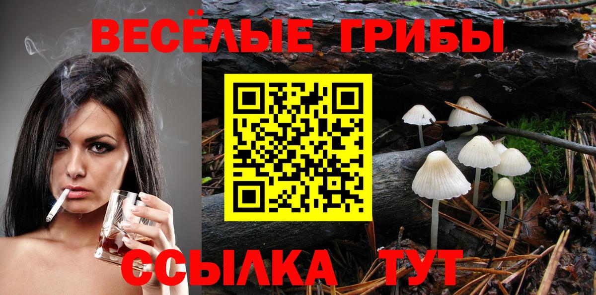 Унеча  Псилоцибиновые грибы прущие грибы  Вход с VPN 