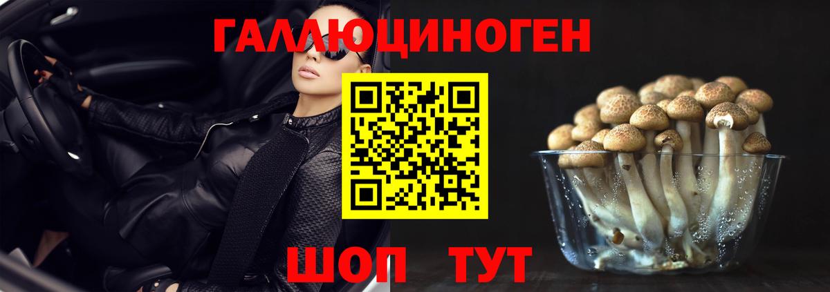 Галлюциногенные грибы GOLDEN TEACHER Унеча